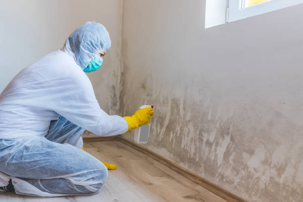 Licensed Mold Remediation service in Salem, NJ - 24 Hour Mold Removal