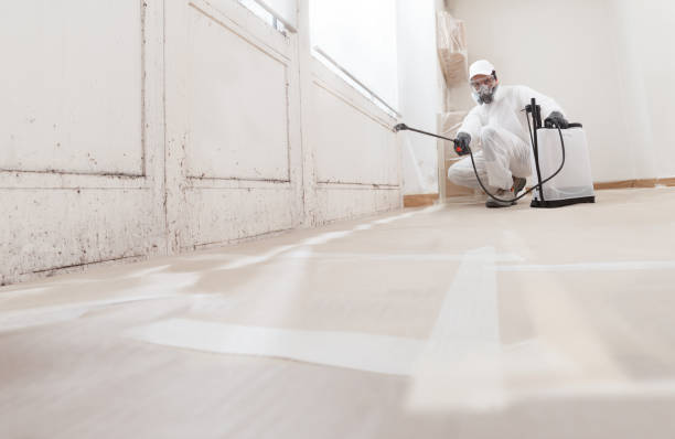 24/7 Emergency Mold Remediation experts in Salem, NJ