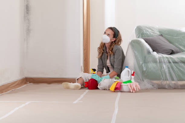 Reliable Mold Remediation contractor in Salem, NJ by 24 Hour Mold Removal