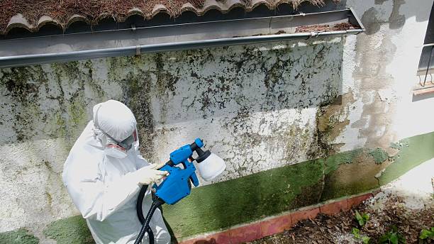 Top rated local Mold Remediation specialists in Salem, NJ